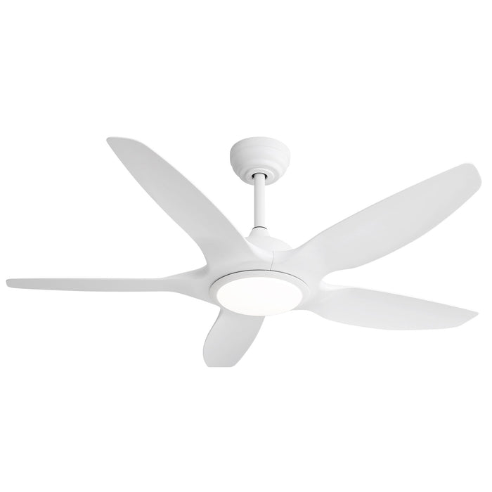 Indoor Ceiling Fan With 5 ABS Blades Remote Control Reversible Dc Motor For Living Room