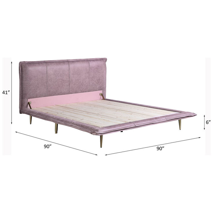 Metis - Bed ACME