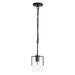 Adjustable Pendant Lighting Daily Nest
