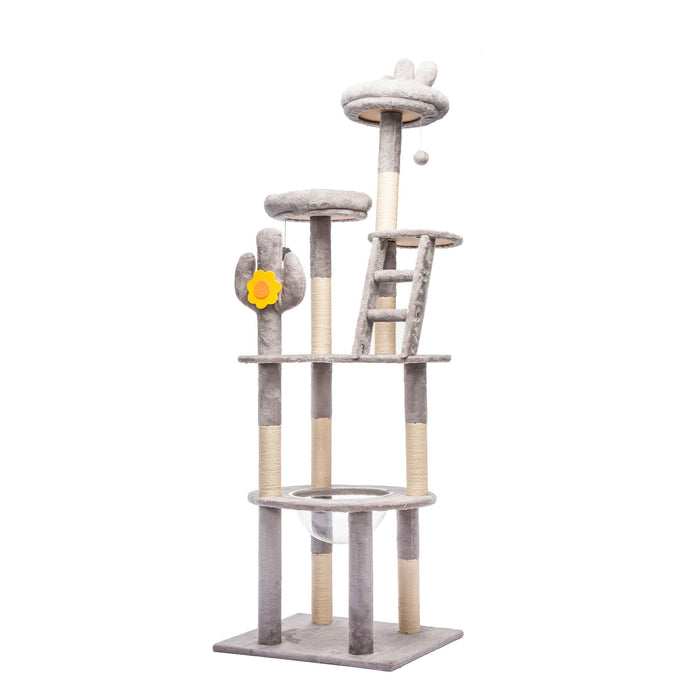 Cactus Cat Tree With Transparent Capsule Daily Nest