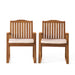Della - Wood Armchair (Set of 2) Outdoor Dining Chairs - Cream Noble House