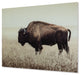 Brutus - Wall Art - Sepia Signature Design by Ashley®