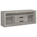 Bergeron - 2 Drawer TV Stand - Driftwood Furniture Max