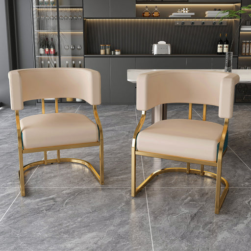 Dining Chairs Ergonomic Curved Backres (Set of 2) - Blue / Neutral Home Essentials