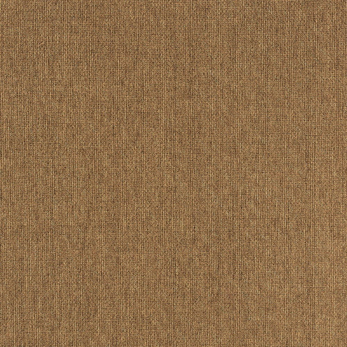 Stain Resistant Indoor / Outdoor Area Rug - Tan