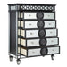 Varian II - Chest - Mirrored, Black & Sliver ACME