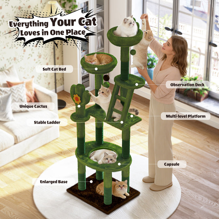 Cactus Cat Tree With Transparent Capsule Daily Nest