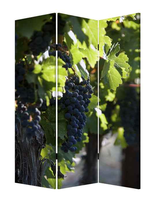 Wood Canvas Wine Country Screen - Multi Color