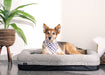 Performance - Small Dog Bed - Gray Bedgear