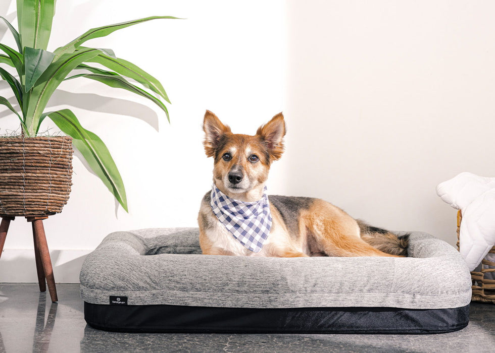 Performance - Small Dog Bed - Gray Bedgear