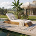 Chaise Lounge Set With 2 Fold Cushion Noble House