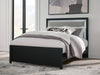 Maeling - Upholstered Panel Bed Signature Design by Ashley®
