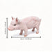 Cute Pig Garden Statue, Farm Pig Figurine Lawn Ornament, Weatherproof Outdoor Sculpture Decor - Baby Pink Home Essentials