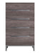 Viola - Chest - Purple Elm Status Italy
