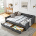 Upholstered Tufted Daybed With 2 Drawers, Waved Arms Home Essentials