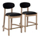 Rilou - Counter Stool (Set of 2) Zuo Modern