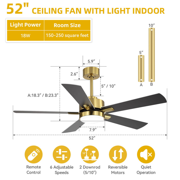 Reversible DC Motor Ceiling Fan With Dimmable LED Light For Living Room Daily Nest