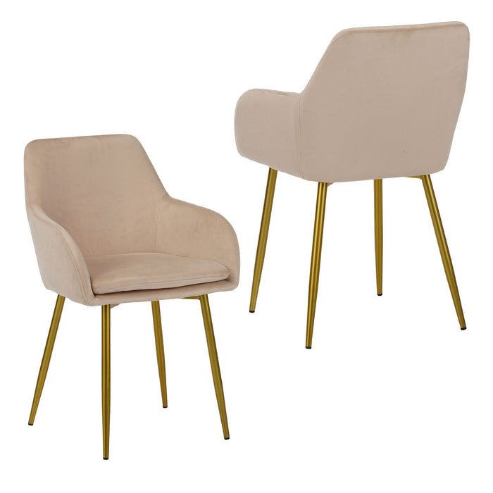 Dining Chair Set For Dining Rooms (Set of 2) - Beige