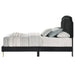 Zeena - Bed ACME