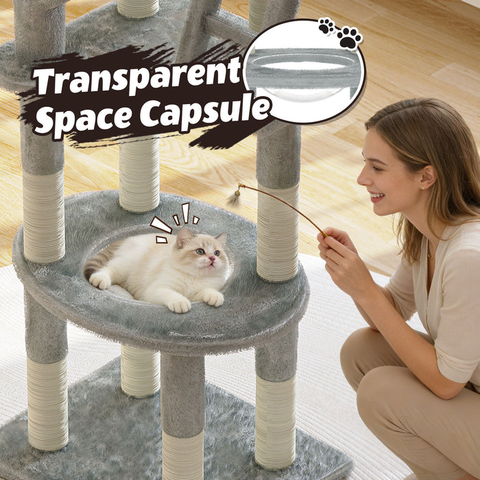 Cactus Cat Tree With Transparent Capsule Daily Nest