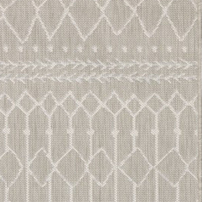 Indoor / Outdoor Area Rug - Gray / Ivory