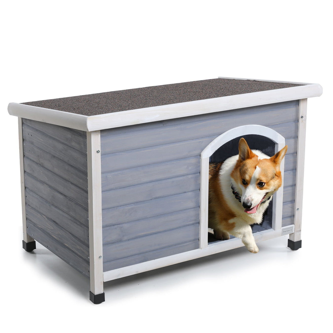 Para la Mascota