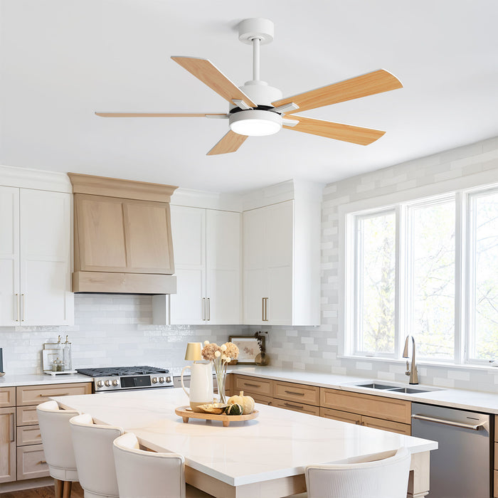 Reversible DC Motor Ceiling Fan With Dimmable LED Light For Living Room Daily Nest