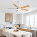 Reversible DC Motor Ceiling Fan With Dimmable LED Light For Living Room Daily Nest