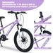 Zukka - 20" Mountain Bike With Adjustable Saddle And Suspension Fork Daily Nest