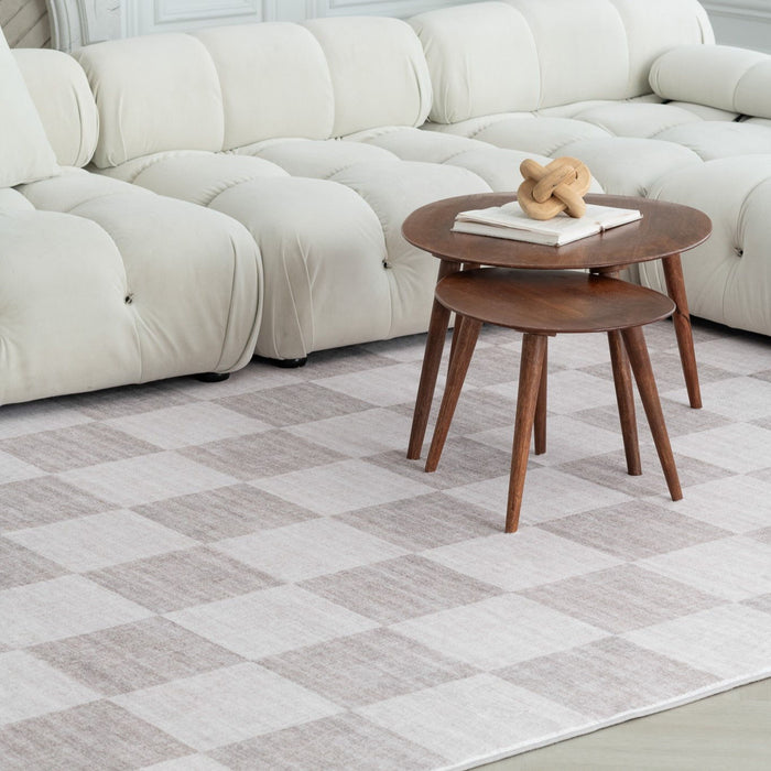 4' x 6' Checkered Area Rug - Beige And Brown
