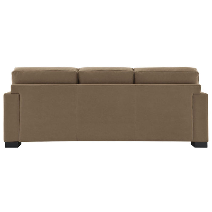 Darya - Sofa With 4 Pillows - Brown Suede Fabric ACME