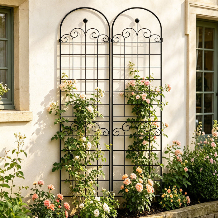 Metal Garden Trellis For Climbing Plants Outdoor Rustproof Plant Support Rose Trellis Netting Trellis Daily Nest