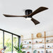 Flush Mount Blades Ceiling Fan With Lights Remote Control, Quiet DC Motor, 6 Speed, Reversible Ceiling Fan For Living Room - Matte Black Daily Nest