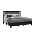 Carlos - 5 Pieces Queen Bedroom Set, Modern Design - Black Global Furniture USA