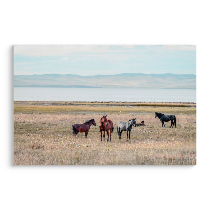 Horse Framed Wall Art Decor For Living Room - Denim / Brown Daily Nest