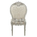 Bently - Side Chair (Set of 2) - Fabric & Champagne ACME