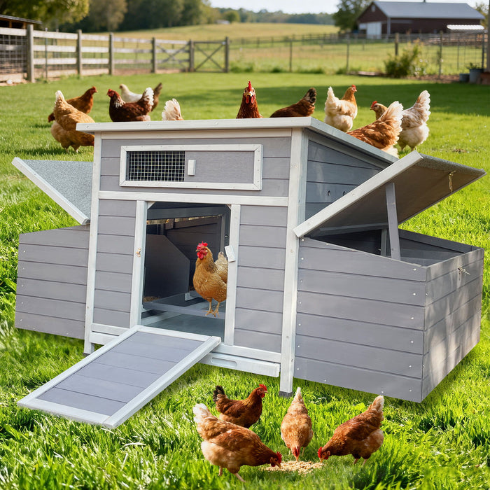 Large Chicken Coop Outdoor Hen House With Dual Nesting Boxes Daily Nest