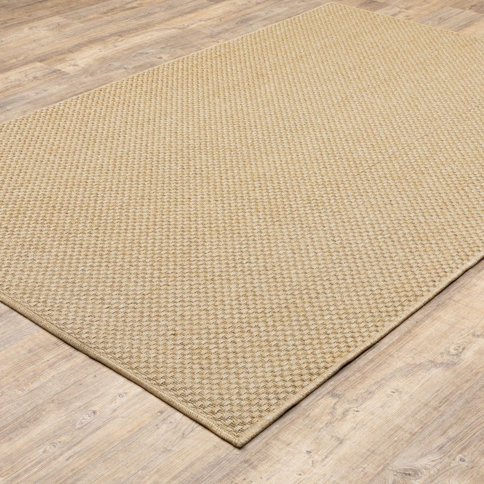 2' X 4' Indoor & Outdoor Area Rug - Beige