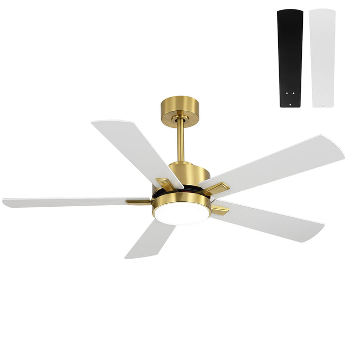 Reversible DC Motor Ceiling Fan With Dimmable LED Light For Living Room Daily Nest