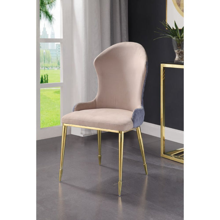 Caolan - Side Chair (Set of 2) - Tan, Lavender Fabric & Gold ACME