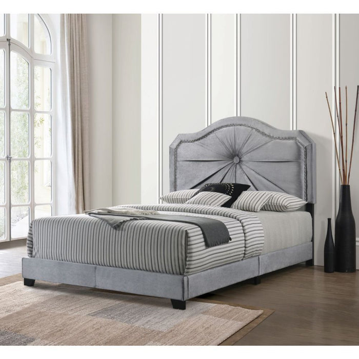 Frankie - Queen Bed - Gray Velvet ACME