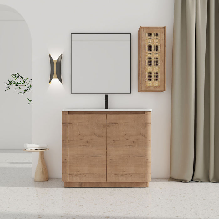 Freestanding Bathroom Vanity With Sink And 2 Soft Close Doors Home Essentials