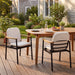 Outdoor Dining Chair - Beige / Black / Teak Noble House