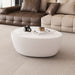 Goose Egg Shape Coffee Table For Living Room - White Pu Home Essentials