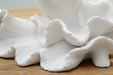 Waynemont - Sculpture - White Signature Design by Ashley®