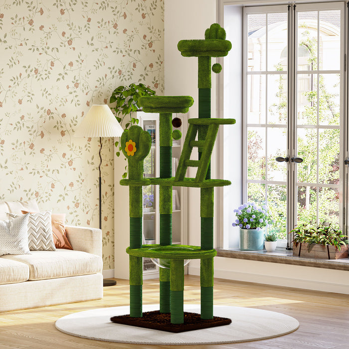 Cactus Cat Tree With Transparent Capsule Daily Nest
