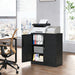 Heavy Duty Storage Cabinet With Lock, 2 Door File Cabinet With 2 Adjustable Shelves - Black Home Essentials