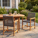 Outdoor Dining Chairs (Set of 2) - Mocha / Teak Noble House