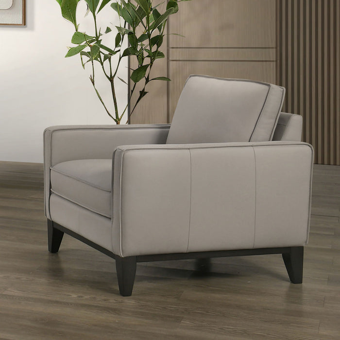 Aaron - Chair - Mist Gray New Classic