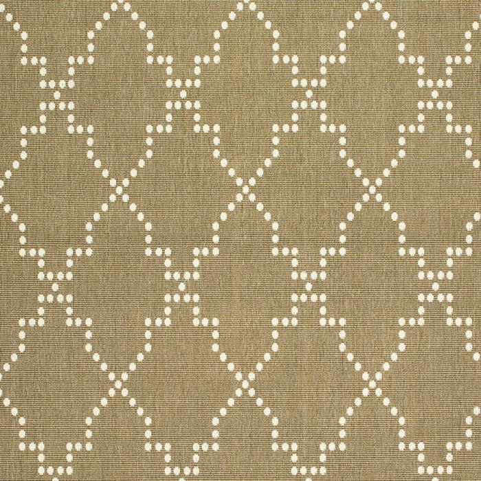 2' X 4' Geometric Stain Resistant Indoor & Outdoor Area Rug - Tan